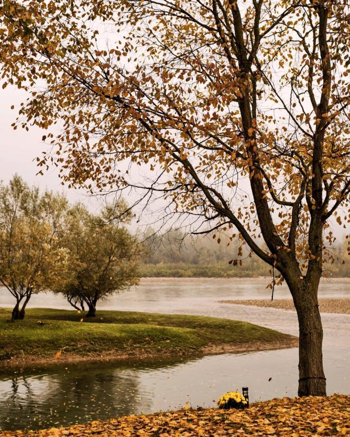 Ferienwohnung Drinska Laguna Banja Koviljača Exterior foto